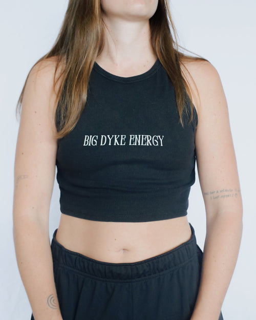 BIG DYKE ENERGY - S