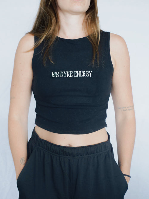 BIG DYKE ENERGY - S